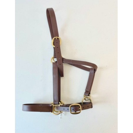 Biothane HeadCollar Biothane HeadCollar