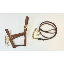 Headcollar and Lead of Presentation with anti-rearing Bit